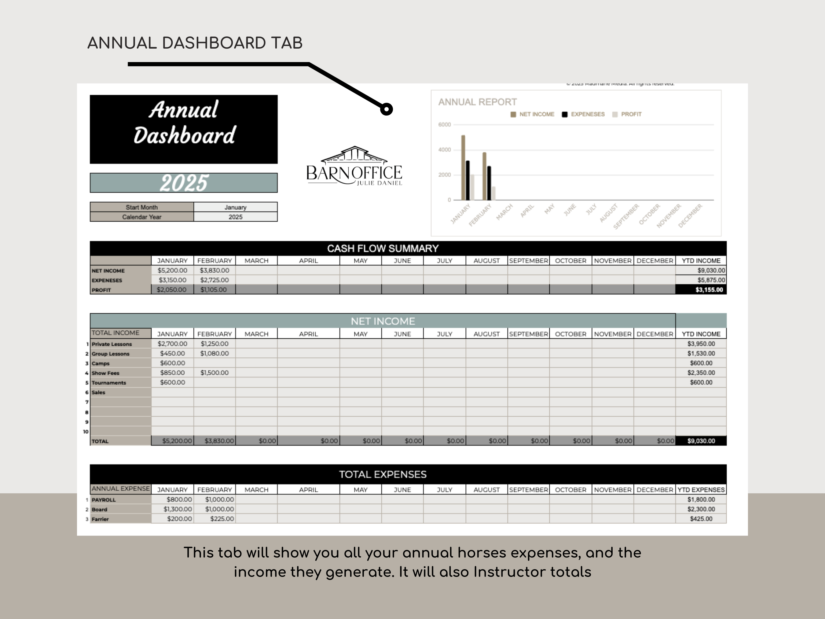 Ultimate Equine Lesson Tracker Template