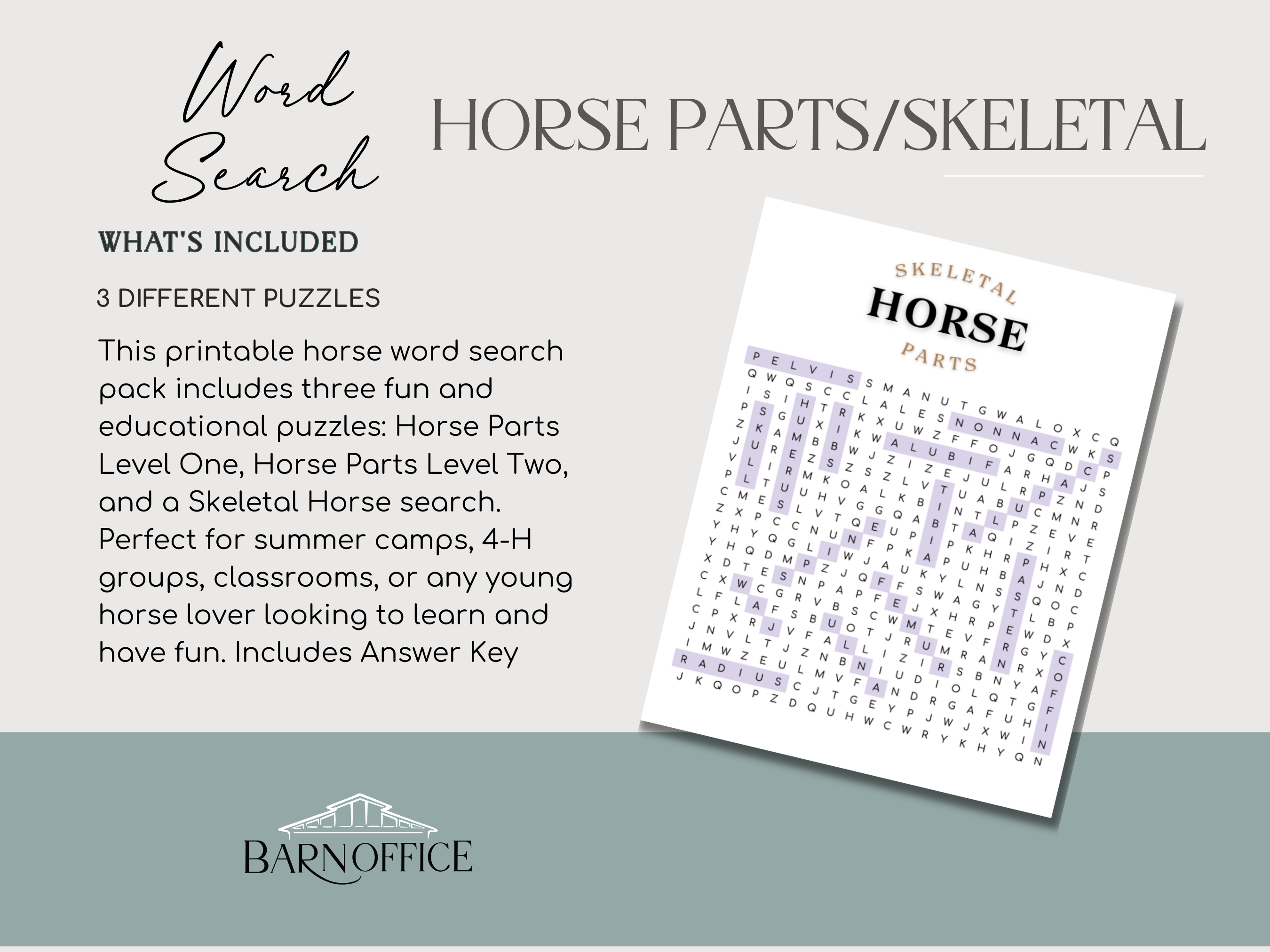 Horse Skeletal Parts Word Search